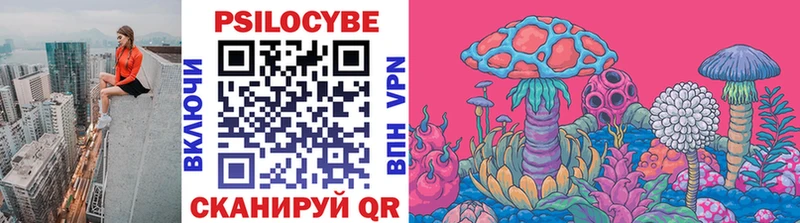 Галлюциногенные грибы Psilocybe  блэк спрут как зайти  Гаврилов-Ям 